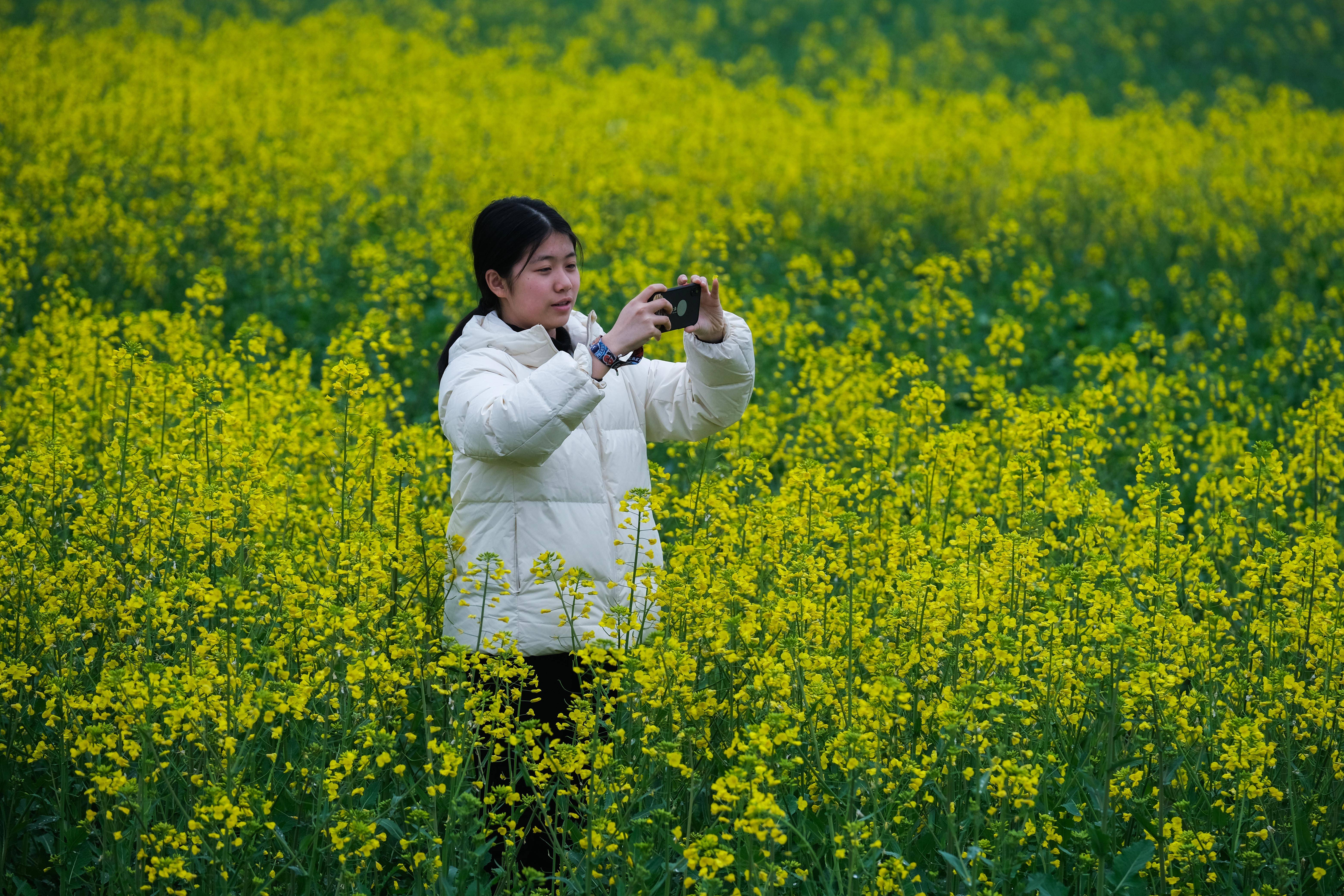 大地着春装 鲜花迎春来