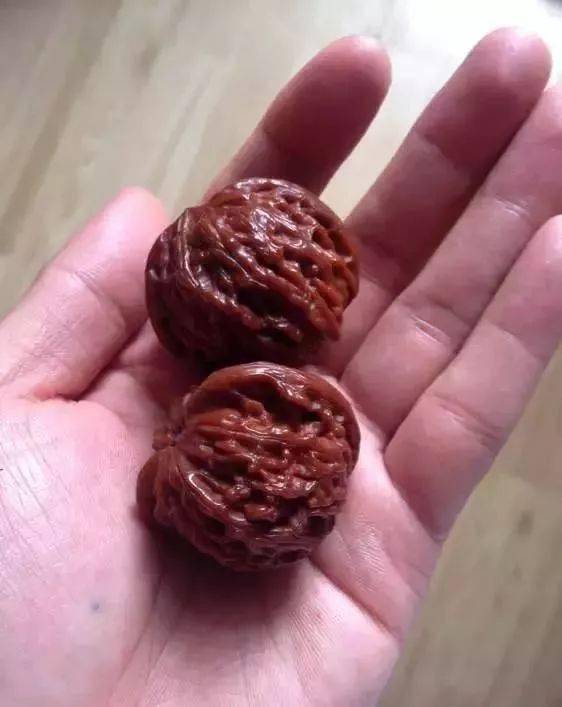 核桃盘不出来,都怪皮质不好,那你就错了