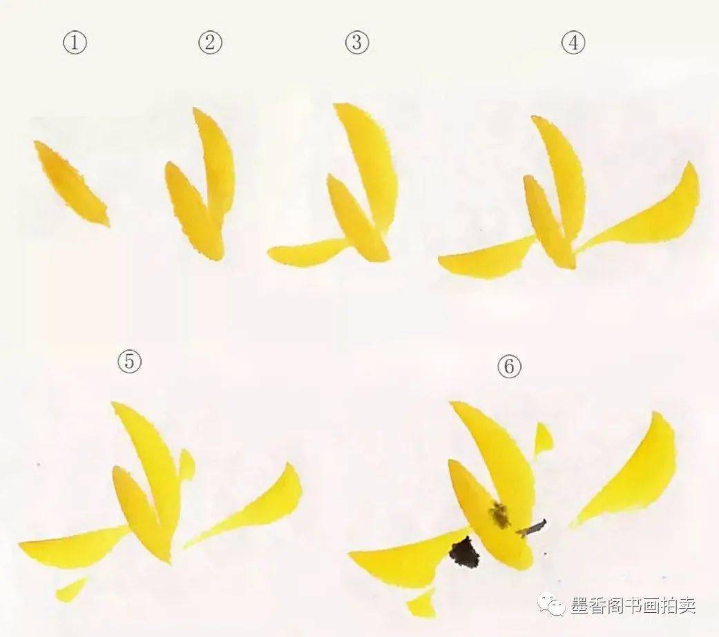 本次的主角—迎春花从最简单的开始