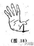 兰花掌 大拇指往回收拢,放在中指的第一骨节上,食指,无名指,小指稍微