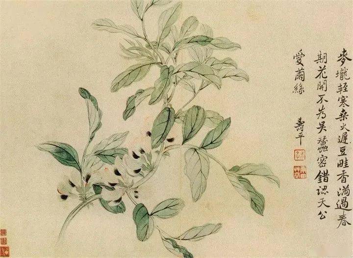 恽寿平没骨花鸟画精品欣赏