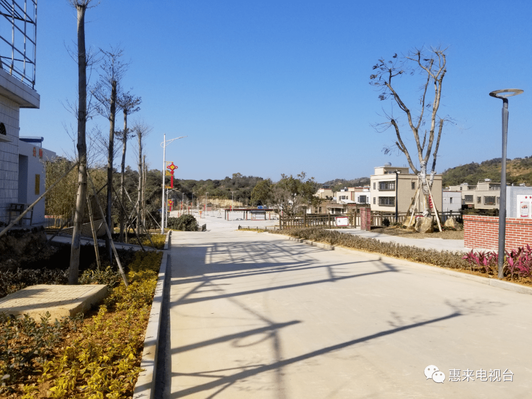 【乡村振兴】华湖镇:以党建为引领 多方助力 共筑美丽