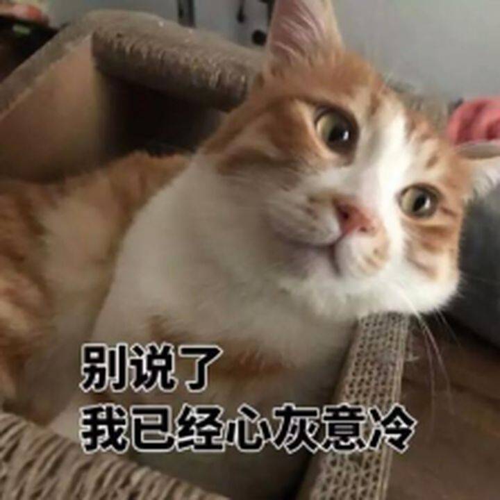 3c5ae9c320f74b23bced5d63fe9f9c24.jpeg