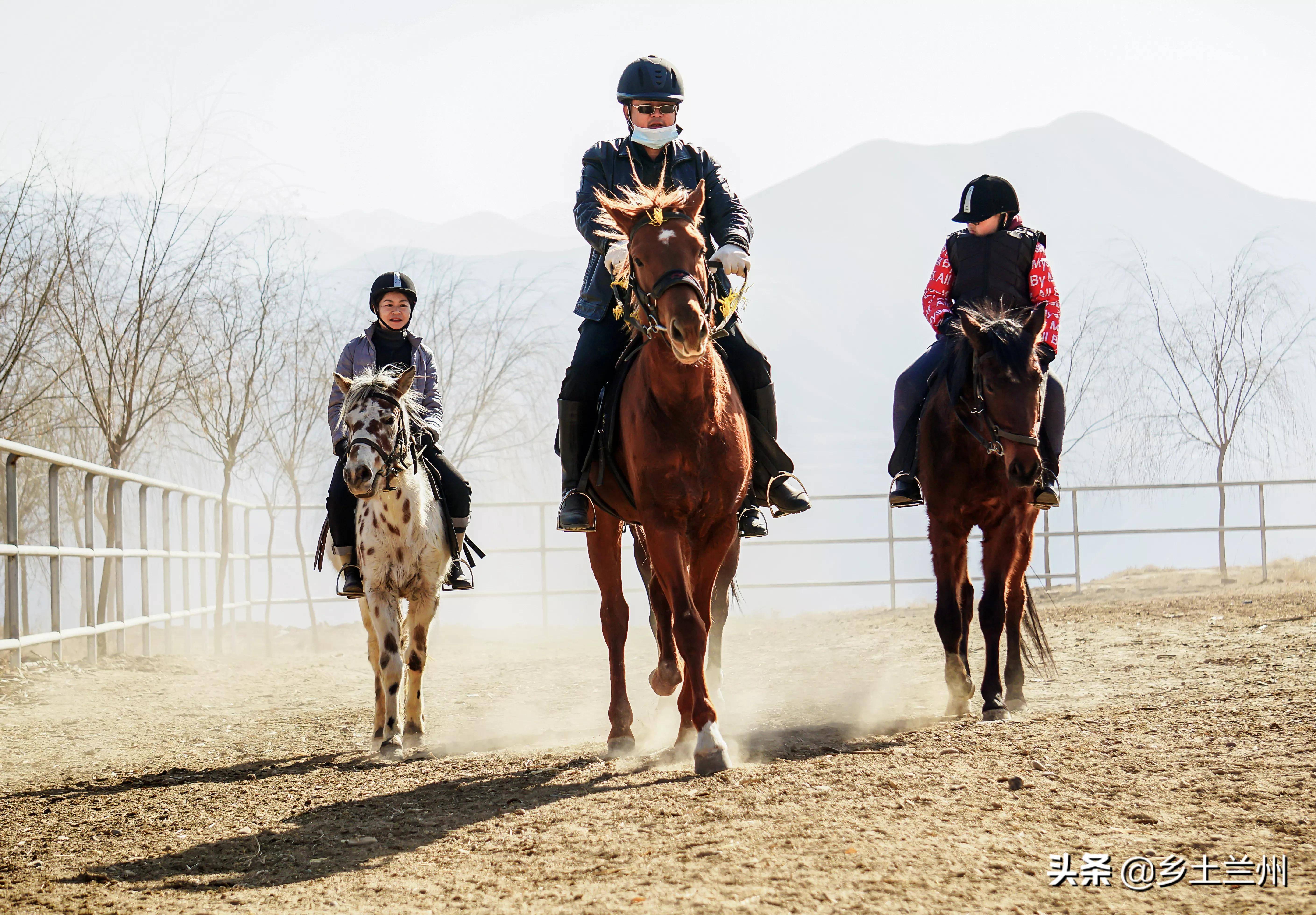 兰州马术场里体验骑乐无穷