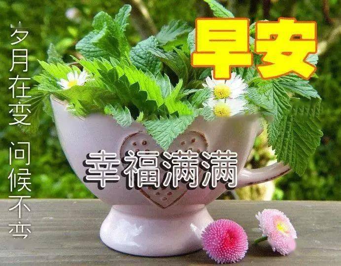 大年初九早上好问候语,最美早晨好动态表情图片带字温馨