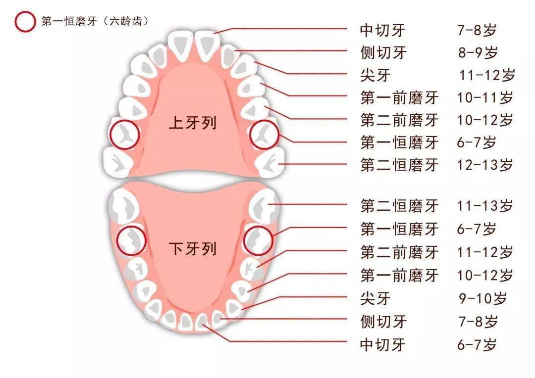 孩子长了双排牙我后悔莫及最伤孩子牙齿的不是糖竟然是