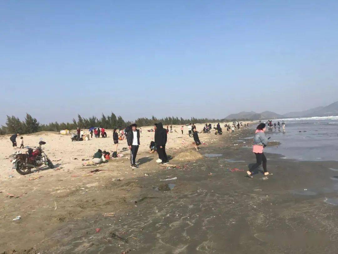 陆丰这片海滩在"流泪"_上海村