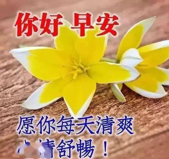 2月22日最漂亮的正月十一动态表情图片大全早上好动图美图大全