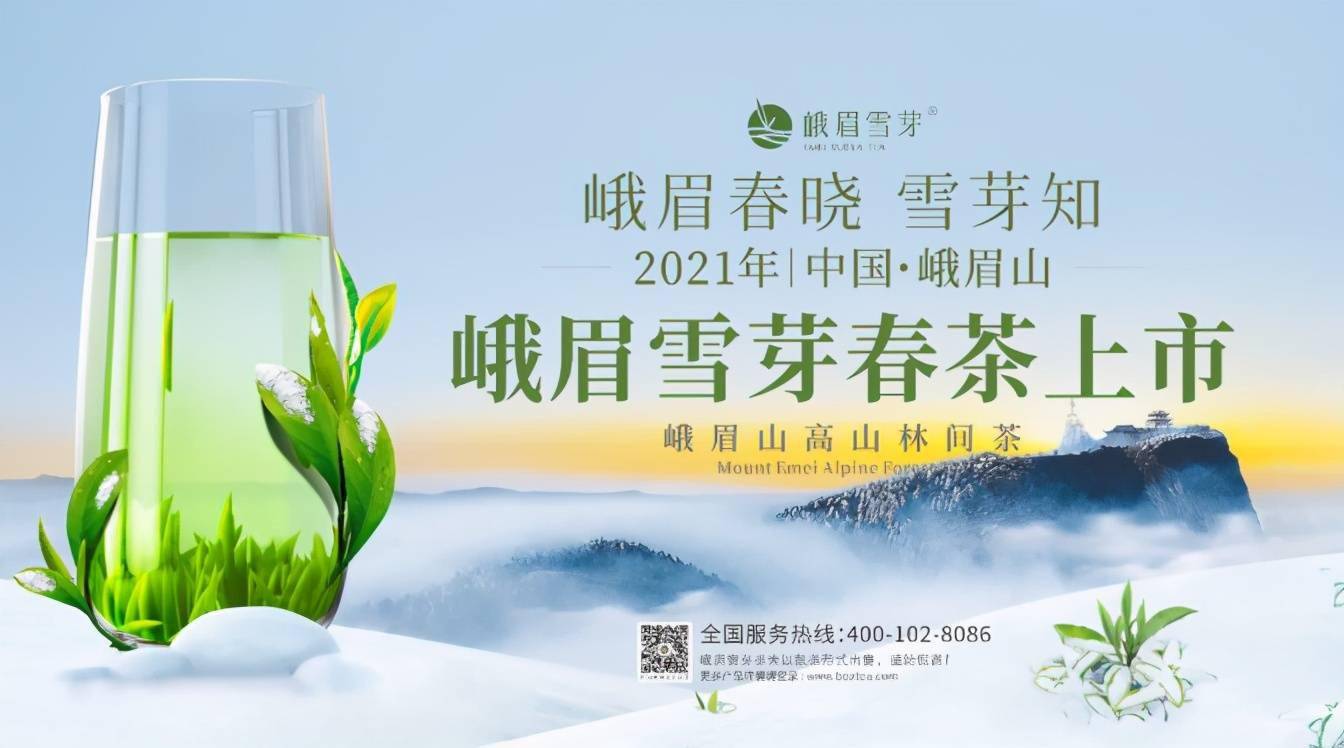 峨眉雪芽茶业公司总经理何群先生在接受采访时表示:难得一遇的大雪