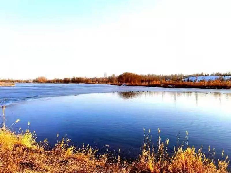 到喀什北湖湿地公园,感受美景与宁静!