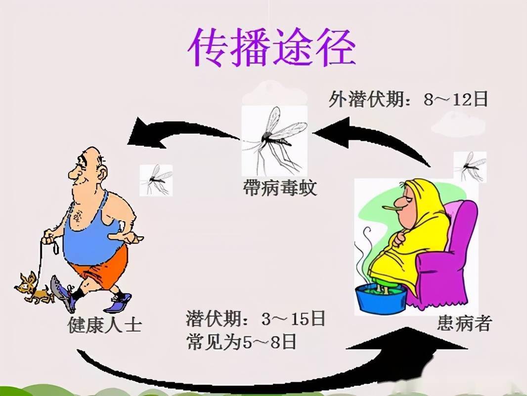 虫媒传染病扩布加重