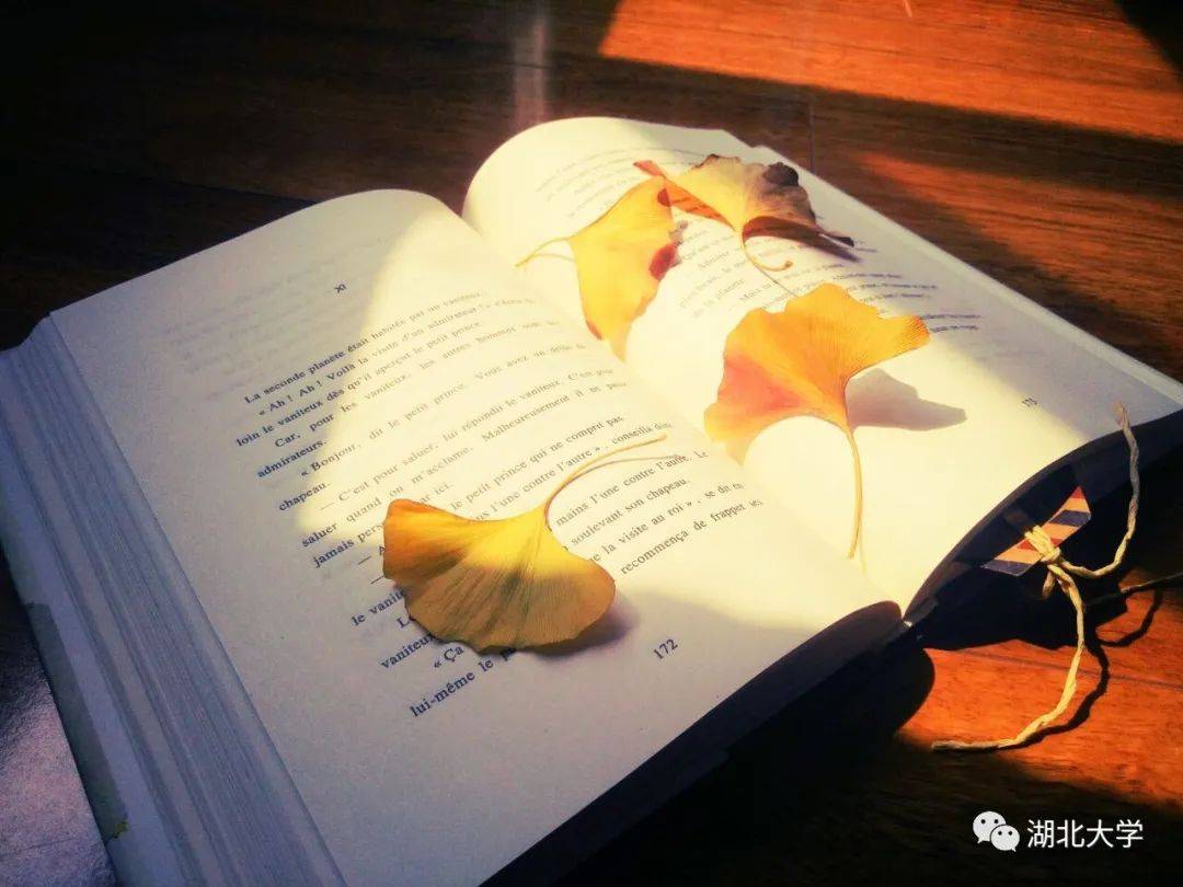 一本书籍,一缕阳光 在每个清晨与午后 走进书中的黄金屋 一览此中的颜