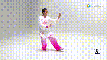 新鲜出炉32式太极拳动图全解看到的都收藏了