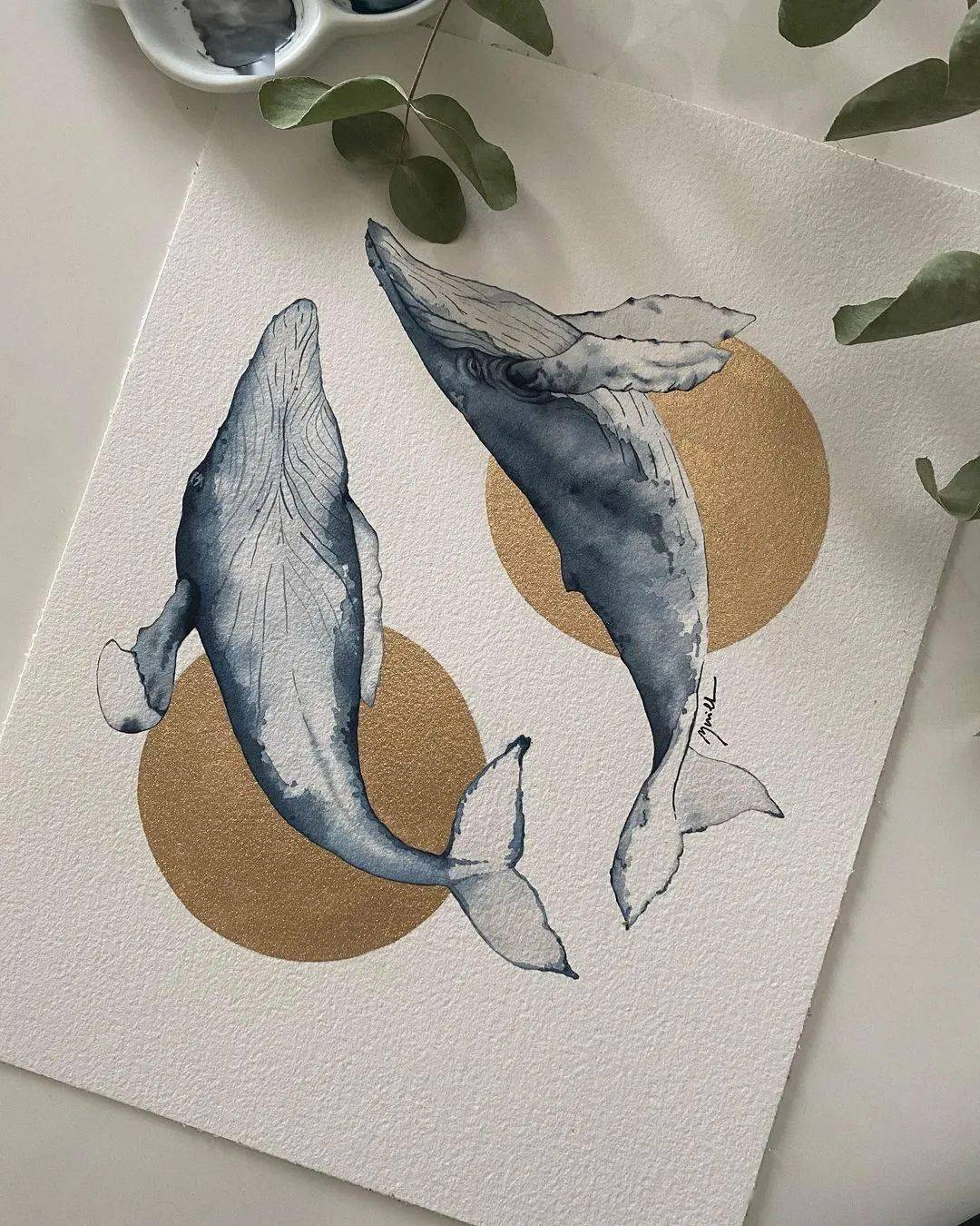 唯美的鲸鱼水彩插画