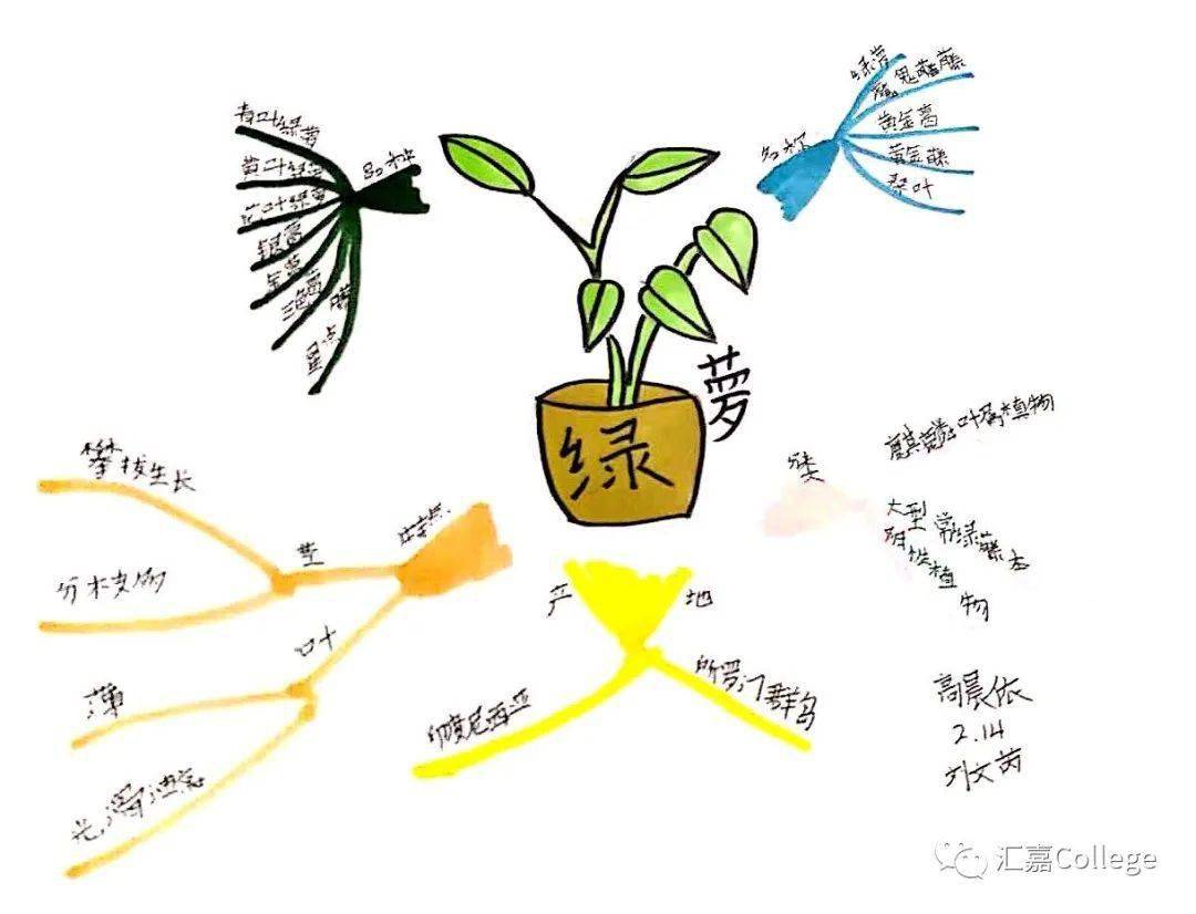 思维导图明星学员展—高晨依