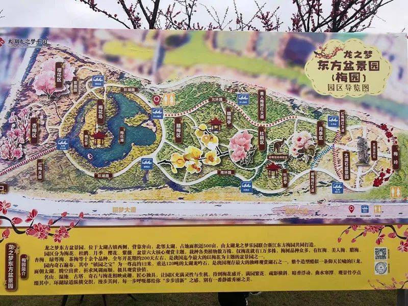 由太湖龙之梦乐园携手长兴东方梅园创始人吴晓红先生共同打造,园区分