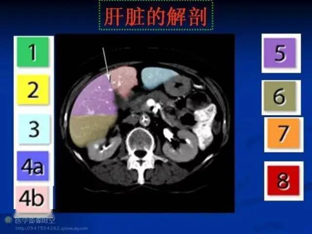 影像必备丨最全肝段解剖图解