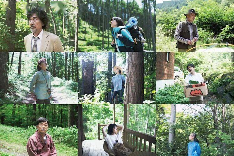 《森林民宿》影评:短短6集的8.6分深夜剧,却是今年第一份治愈