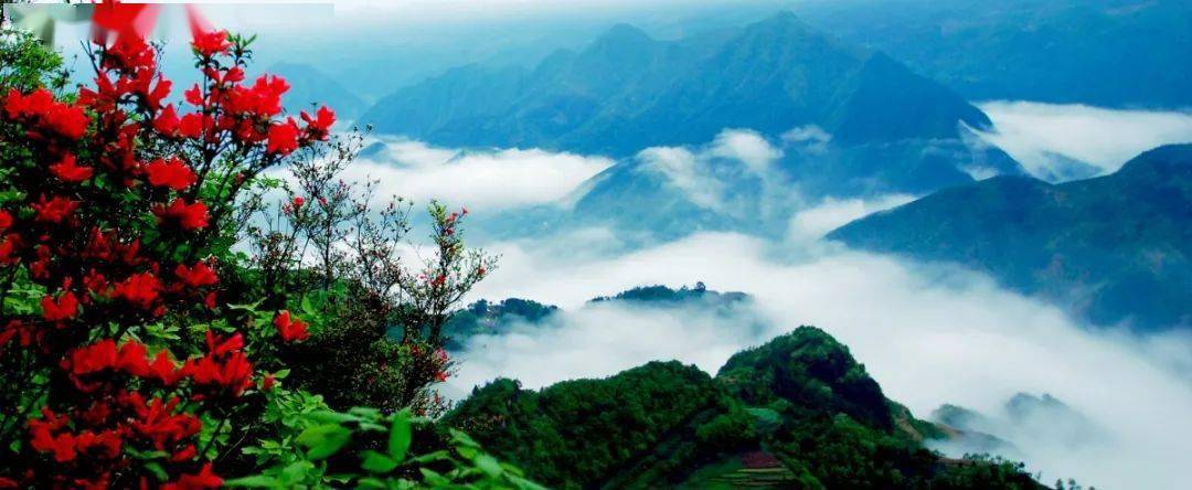 远眺苏马荡,齐岳山风景,抿一口清冽的土家竹筒美酒,就着嚼劲十足的