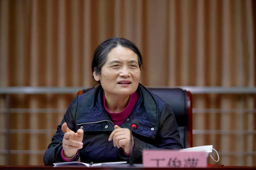 武汉大学马克思主义学院教授丁俊萍