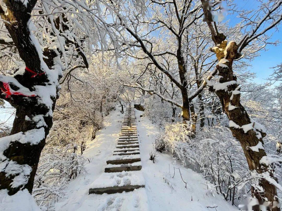 近日 秦岭终南山迎来一场春雪  雪后的终南山宛如仙境 南五台景区