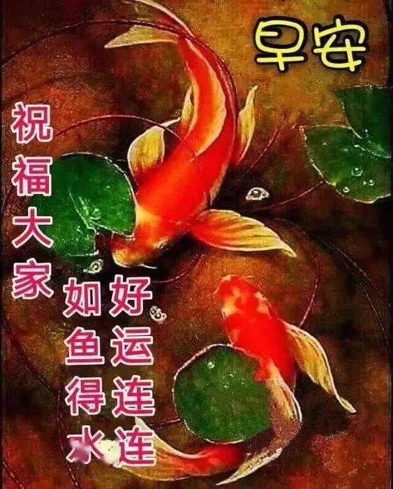 早上好动态祝福图片表情朋友圈早上好问候经典语句