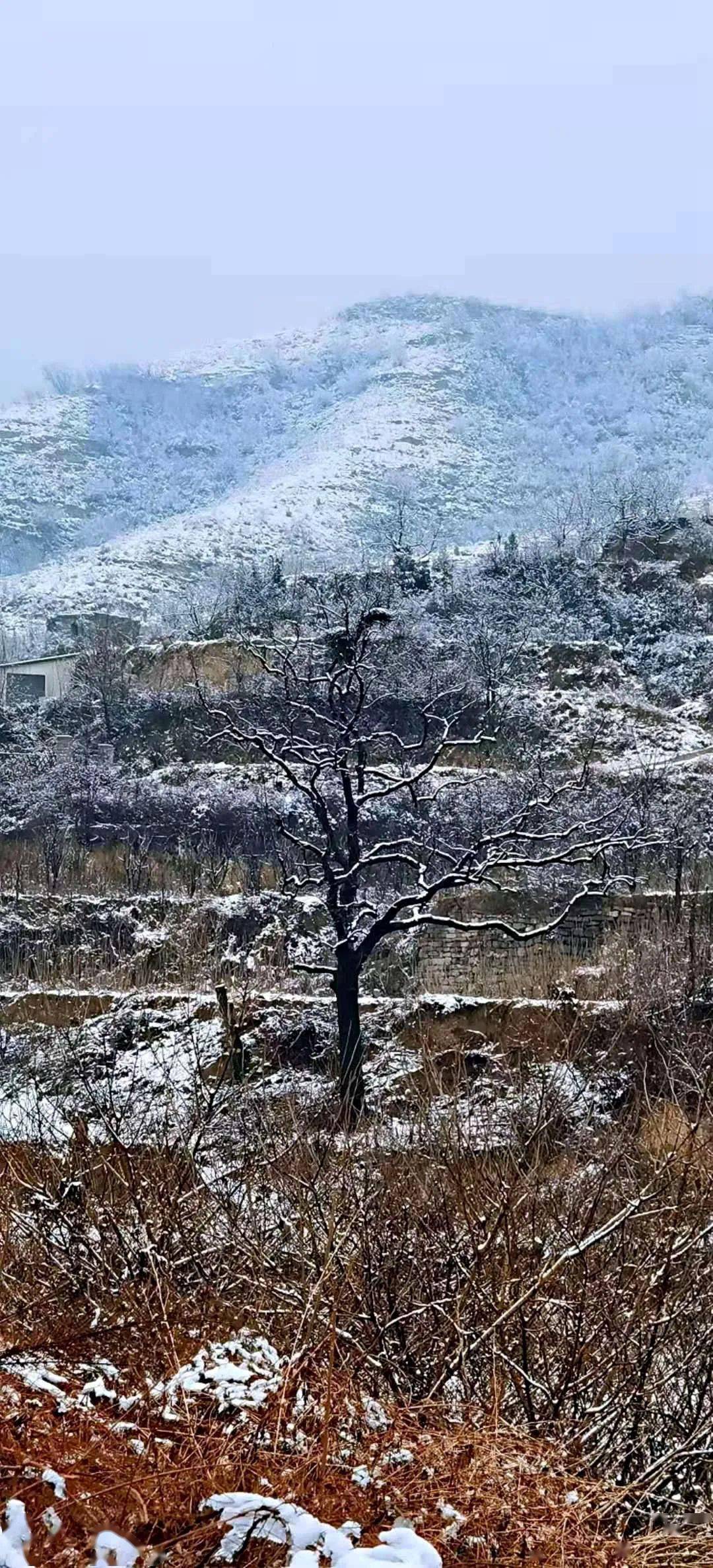 山下雨山上雪