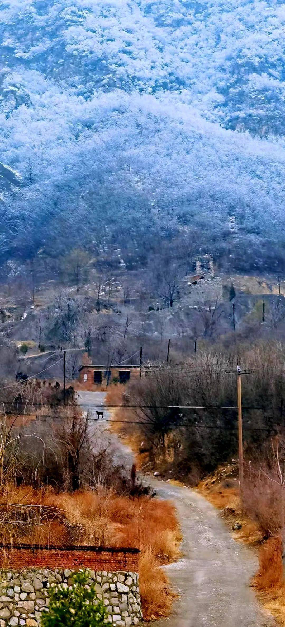 山下雨山上雪