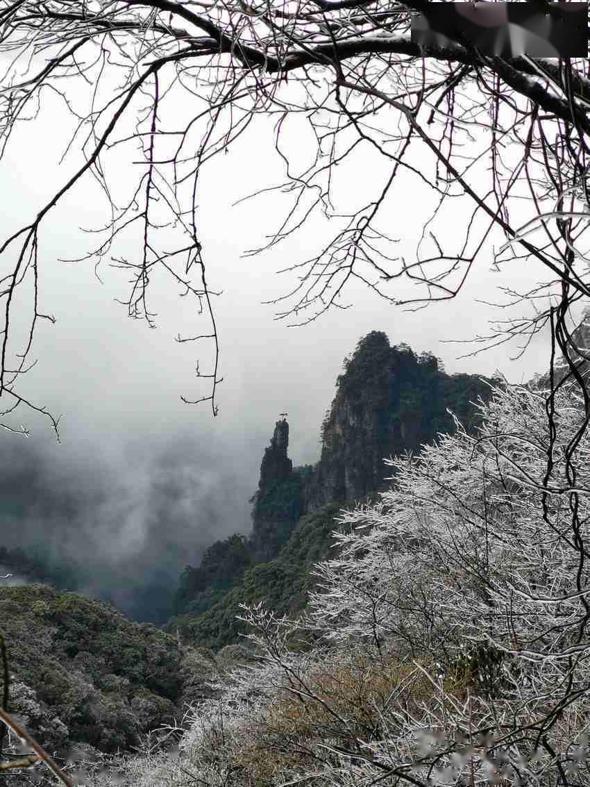 贵州梵净山春雪悄然而至惊现云海瀑布奇观高清组图