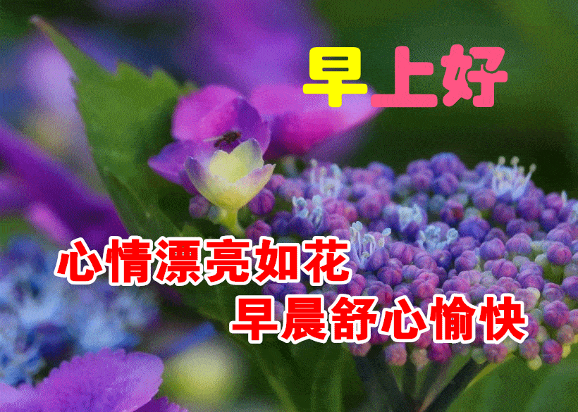 3月3日最漂亮早上好动态表情图片大全,早晨好动图美图