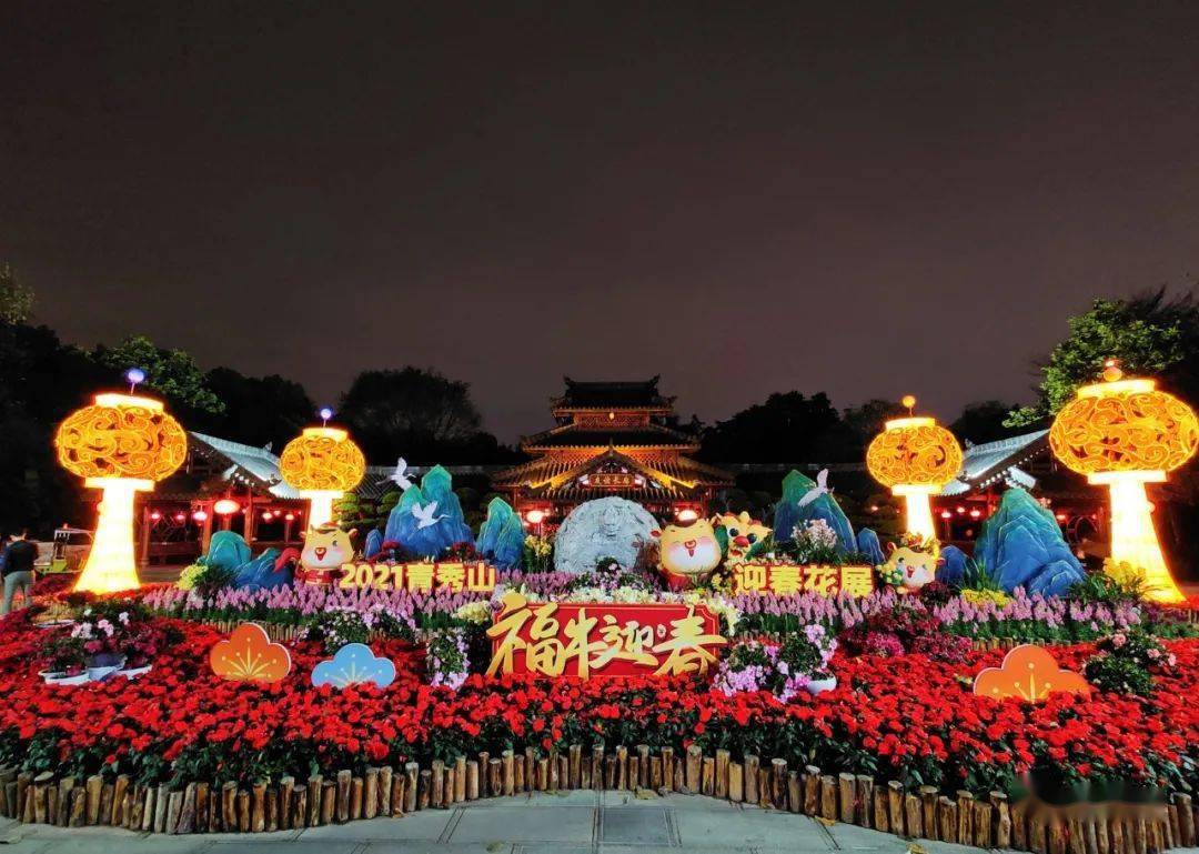 (青秀山东门,叶子花园 西区夜游 在花团锦簇中欣赏美丽夜景 赏百花