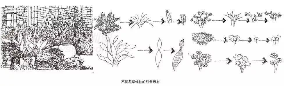 干货来袭景观设计手绘草图大全赶紧收藏