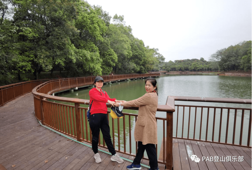 光明网红桥打卡平湖生态园赏花