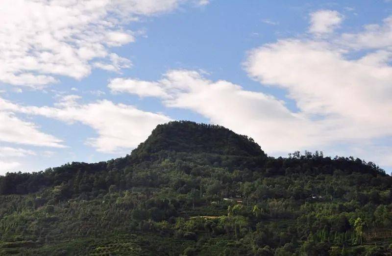 旅游日记:徒步蒲江官帽山,观赏万亩樱桃花