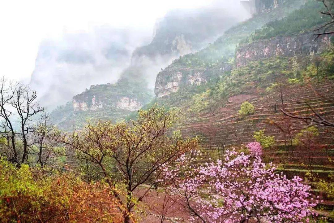 春色如画,12张美图让你看到最美的河南春景