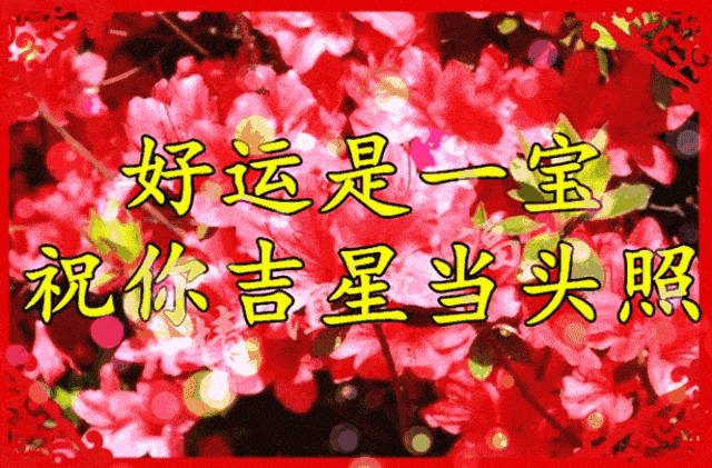 早上好,惊蛰节气,祝愿朋友幸福 健康 快乐 平安!