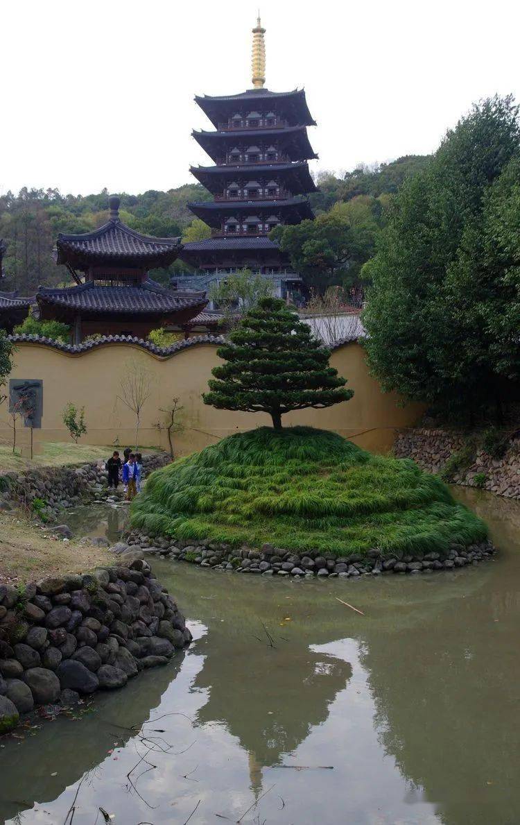 【云溪山人游记】宅城日记(二)三垟湿地南仙漫堤,景山