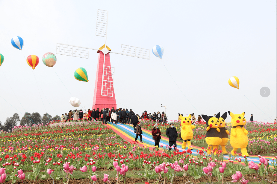 休闲播报蓬溪天福万象花海景区盛大开园现场人气异常火爆