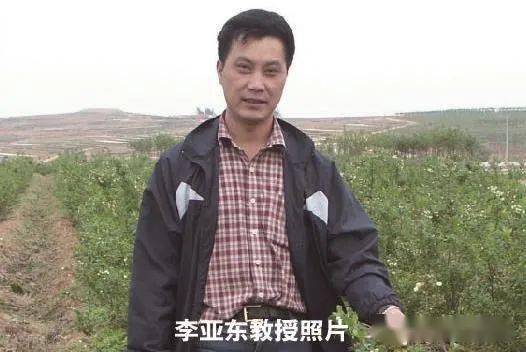 中国蓝莓之父李亚东为宝山蓝莓代言