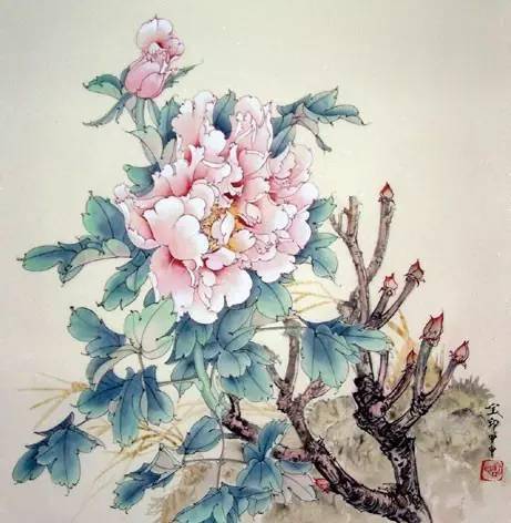 工笔花鸟画的精谨细腻,你见过么?_牡丹