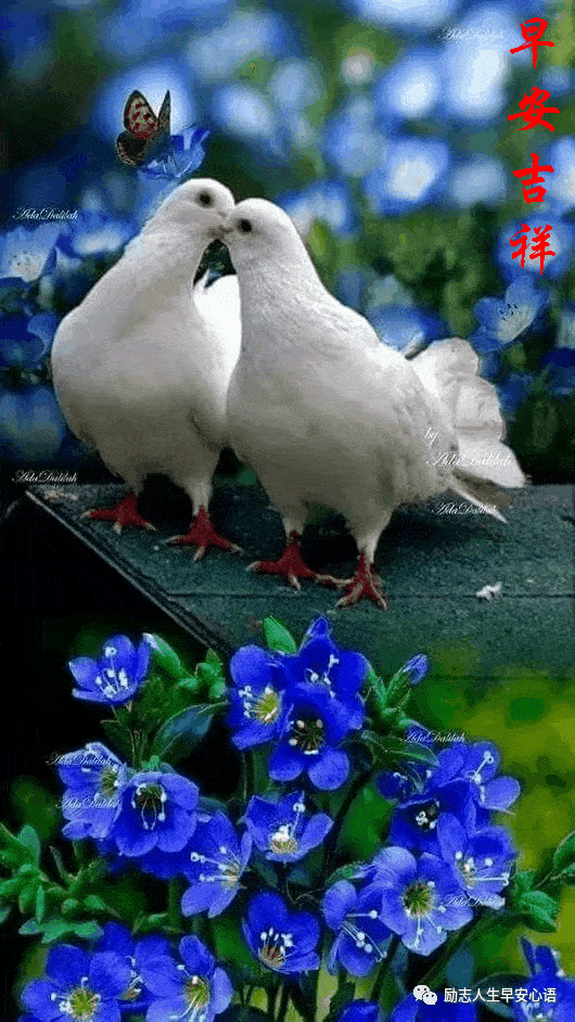 530_942 竖版 竖屏