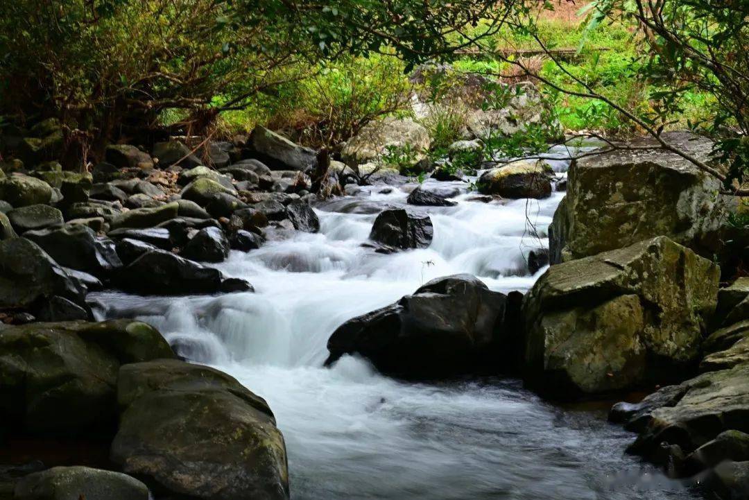 五指山水满河热带雨林风景区