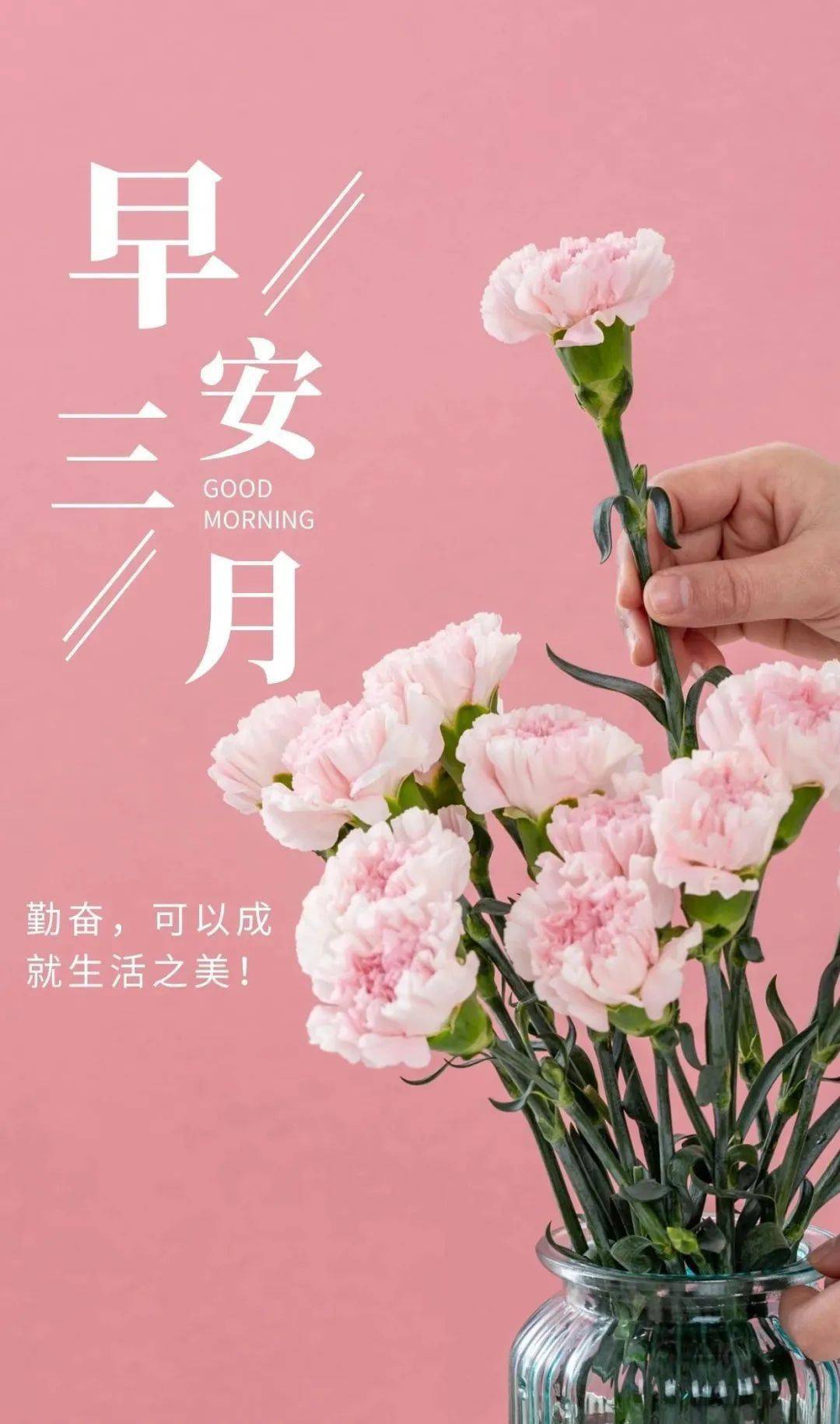 3月7日 早安 新的一天,勤奋一点,努力一点