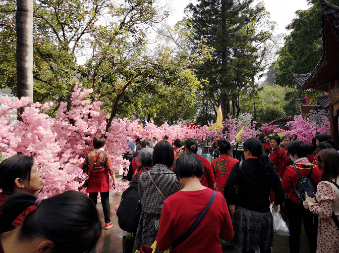 出游丨女神节前夕 兴业鹿峰山·龙泉洞景区迎来游客高峰!