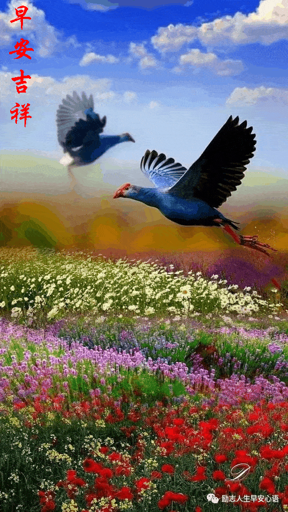 564_1001 竖版 竖屏