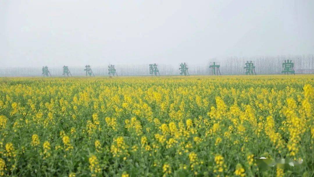 最是一年春好处 踏春赏花正当时 2021中国·鼎城·十美堂第七届油菜花