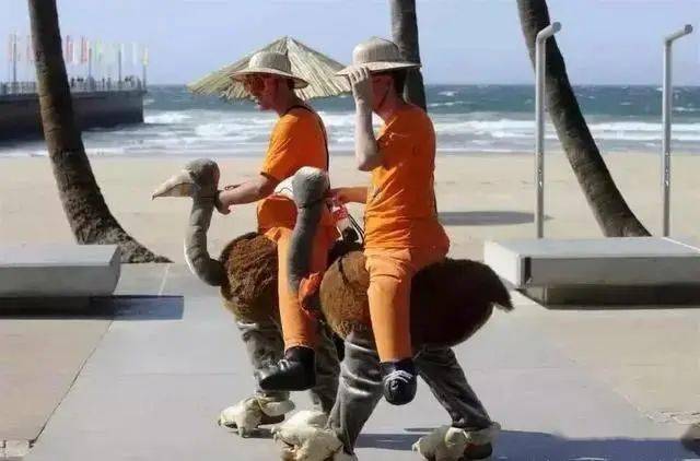 海滩边骑着"鸵鸟"的两个人,场面略显搞笑,穿成这样不热吗?