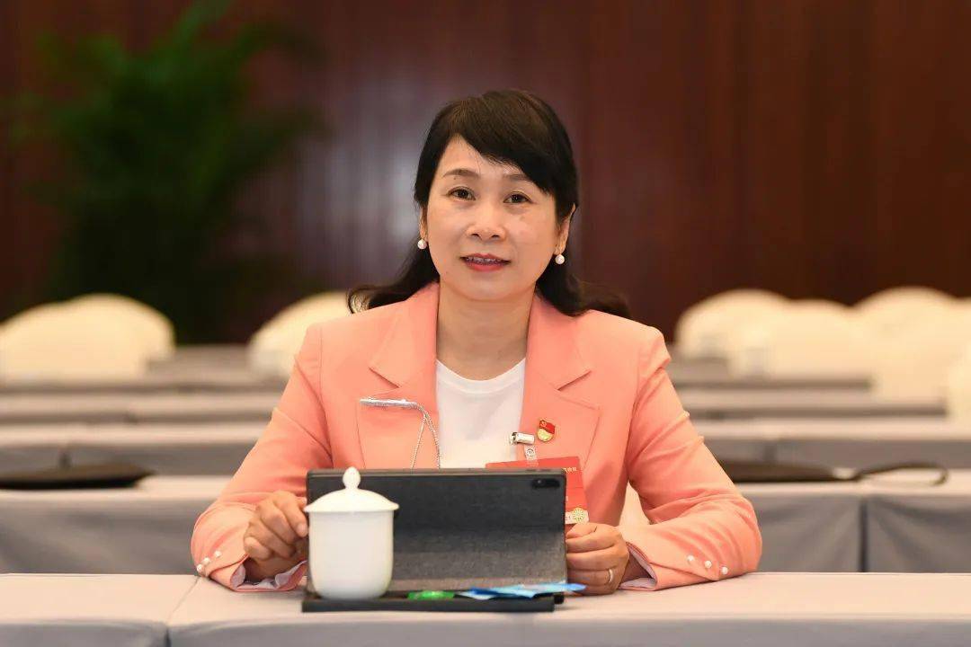 兰臻代表