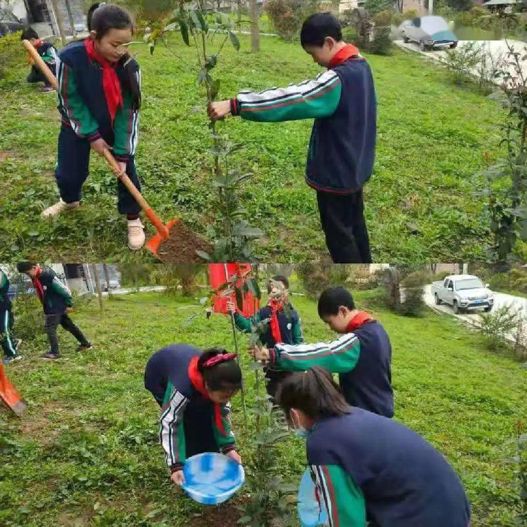 图为玉山小学开展植树活动通江县开展主题植树活动