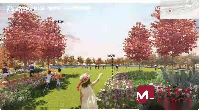 济南黄河淤背区防护林建设开工6处郊野公园建设4月中旬开工